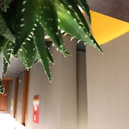 Piazza Carita بيت ضيافة 4*